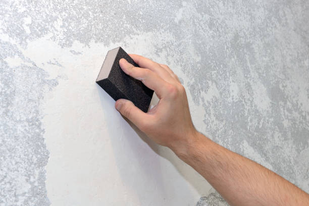 Best Post-Construction Mold Inspection  in Rainelle, WV