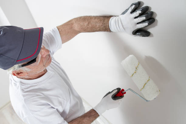  Rainelle, WV Mold Removal Pros
