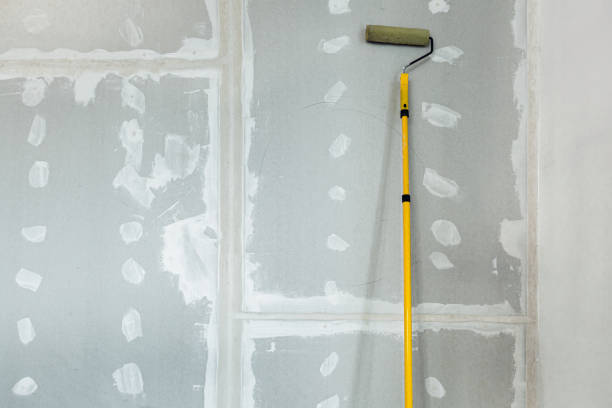 Environmental Consulting for Mold Prevention in Rainelle, WV