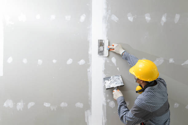 Best Forensic Mold Investigation  in Rainelle, WV