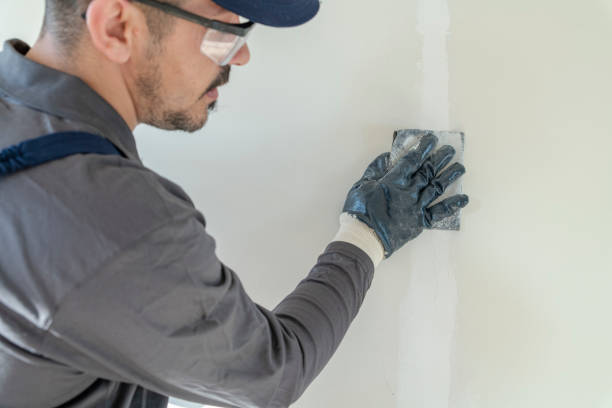 Best Commercial Mold Inspection  in Rainelle, WV