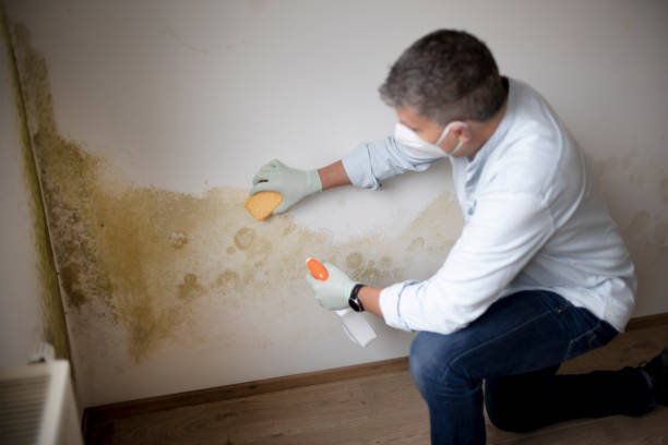 Best Indoor Air Quality Assessment  in Rainelle, WV