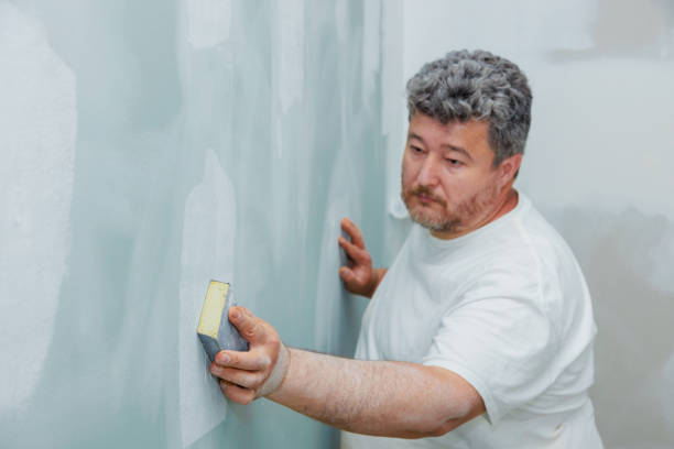 Best Mold Damage Restoration  in Rainelle, WV