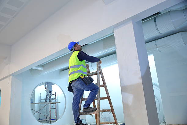 Professional Mold Removal in Rainelle, WV