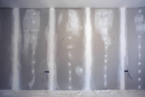 Best Comprehensive Air Testing for Mold Contaminants  in Rainelle, WV
