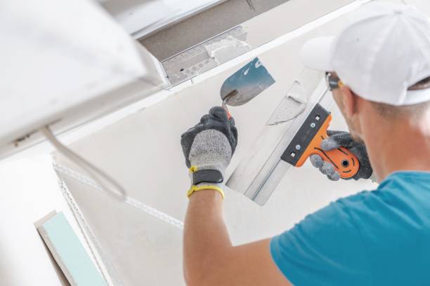 Best Crawl Space Mold Remediation  in Rainelle, WV